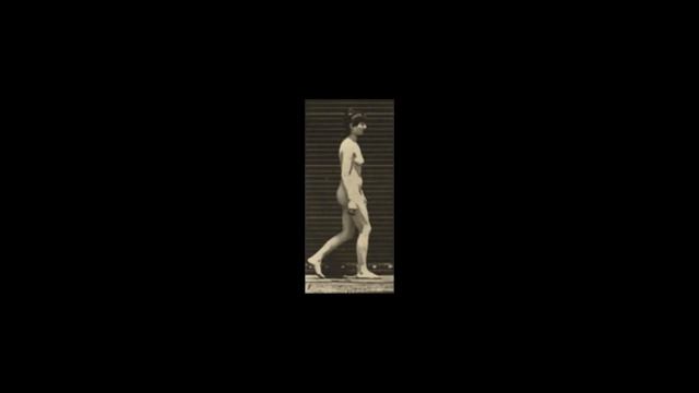 Animal Locomotion: Plates #11-20 (1884-1887) by Eadweard Muybridge смотреть онлайн