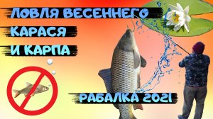 Весенняя ловля карася и карпа на фидер! Рыбалка 2021! Ловля карася на фидер.  фидерная ловля.