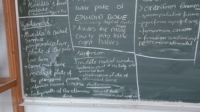 ed 03 11 2022 смотреть онлайн