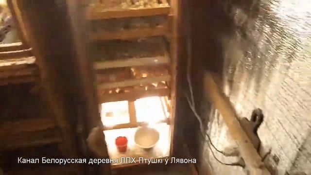 Инкубаторы своими руками: обзор 11 самоделок смотреть онлайн