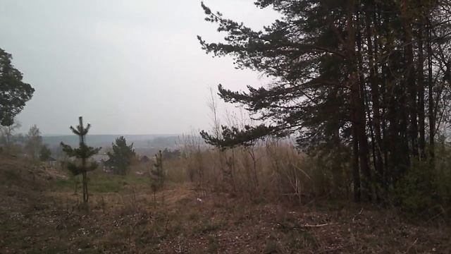 Ближе к природе -  Муз Роман Омельяненко, Слова Светлана Ромашина поёт Галина Комиссарова