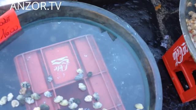 ИТАЛИЯ: Свежая Рыба - Цены на Морепродукты в Неаполе... NAPLES ITALY смотреть онлайн