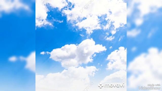 (3)...  Утренний нектар...