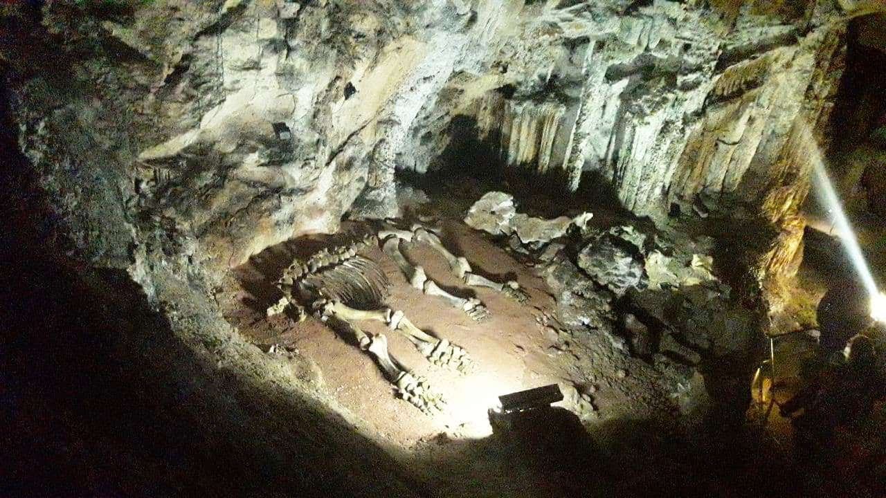 Пещера Эмине Баир Хосар смотреть онлайн