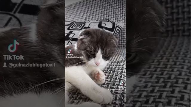 Какую сумму вы расчитываете зарабатывать в день? смотреть онлайн