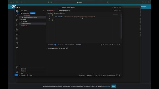 Setup you GoLang project with custom Go Workspace in minutes | Golang смотреть онлайн