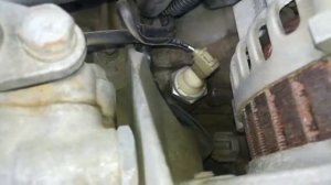 Модель и номер двигателя EJ20, EJ25  Субару Легаси, Субару Форестер (Subaru Forester, Subaru Legacy