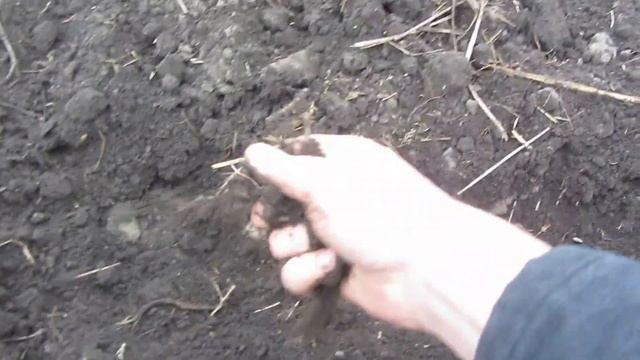Борона дисковая БДМВ 7х2ПСКСР производства ООО "БДТ-АГРО" в п. Большое Солдатское Курская область смотреть онлайн