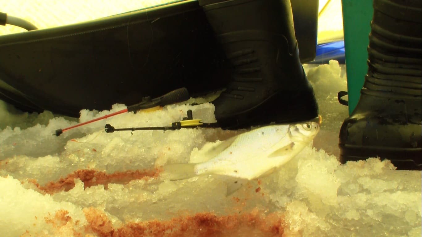 зимняя рыбалка на мормышку смотреть онлайн