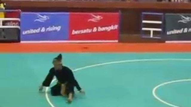 Eko wahyudi Juara Satu Pencak Silat Seagame 2011.AVI смотреть онлайн