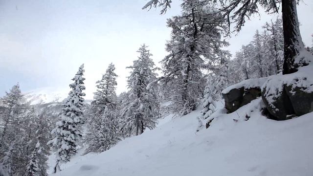 Ивановский белок в октябре. смотреть онлайн