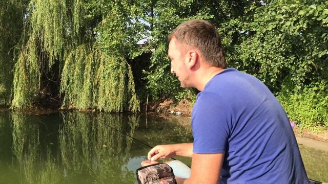 Попал на ЖОР ПЛОТВЫ Осенью! Ловля Плотвы на Поплавочную Удочку! Рыбалка на Плотву +РОЗЫГРЫШ смотреть онлайн