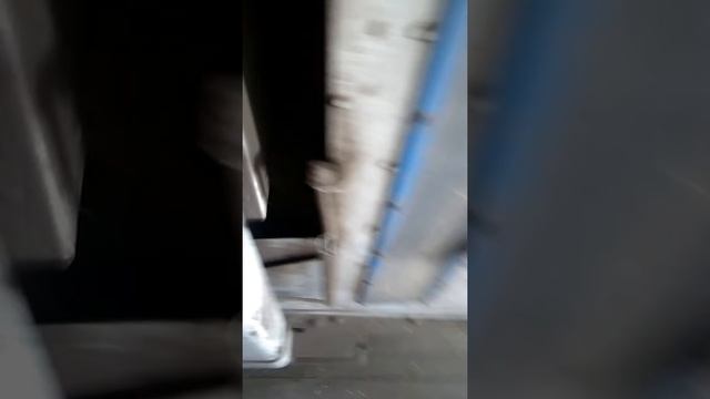 Бис 100 смотреть онлайн