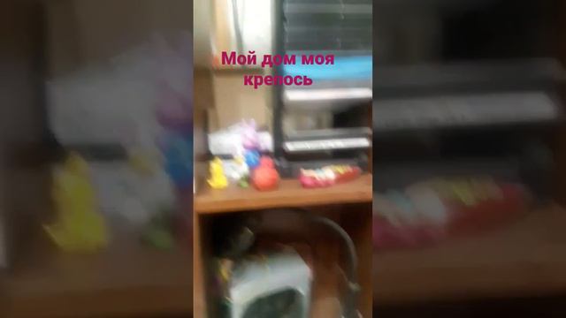 мой дом моя крепось но как часто заходят не знакомые гости пауки грызуны как защититься от этого??? смотреть онлайн