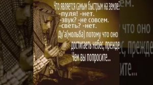 Тавбу на аварском языке