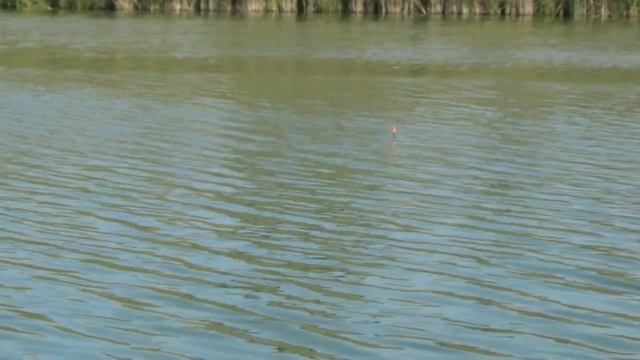 Поплавки с Алиэкспресс! Для дальнего заброса. смотреть онлайн