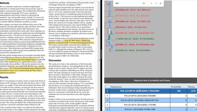Reevaluating Ramesses III & Unknown Man E Y-STR Markers Using NevGen Haplogroup Predictor смотреть онлайн