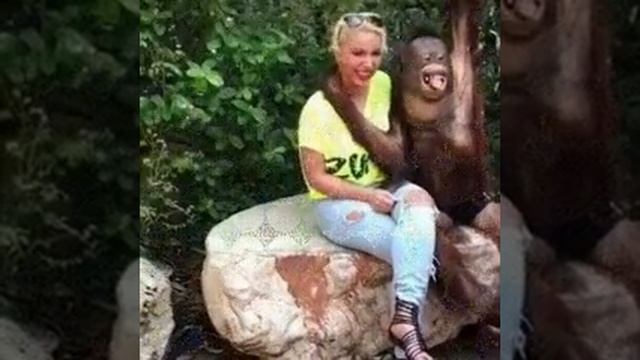 Обезьяна целует женщину смотреть онлайн