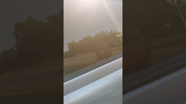 ВЛОГ: гуляю у бабушки в деревне смотреть онлайн