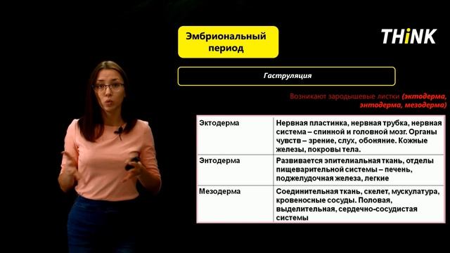 Онтогенез | Подготовка к ЕГЭ по Биологии смотреть онлайн