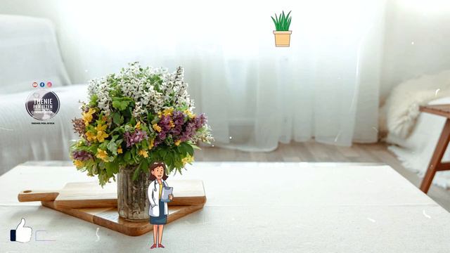 C'do Femër Shqiptare E Ka Në Obor Këtë Lule, Por Askush Nuk E Di Se Ajo Sheron Këto Semundje