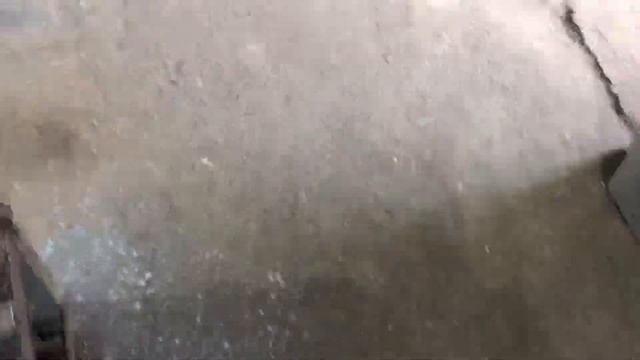 Правильное построение жилок на листе. смотреть онлайн