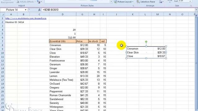 Microsoft Excel 2010: Camera смотреть онлайн