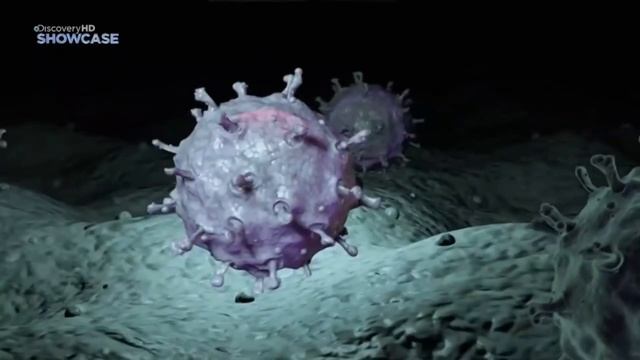 НАСКОЛЬКО далеко МОЖНО увидеть в МИКРОМИР (1 ЧАСТЬ/2)