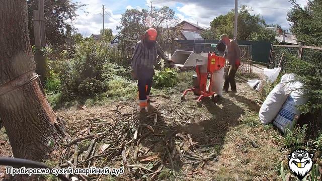 Комплекс послуг! Зрізали, подрібнили! @arpal_vin АМ-80 БД МАХ ПРОТИ СУХОГО ДУБА!. смотреть онлайн