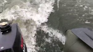 Лодочный мотор Nissan marine 3.5 лс, лодка Nordik 300, река Томь 07.07.2020