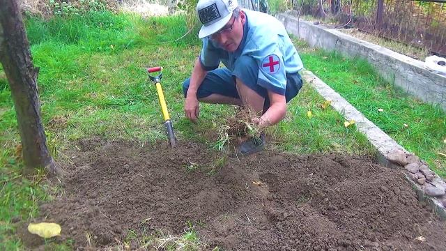 12 Растут везде зелёные изумруды (1).mp4 смотреть онлайн