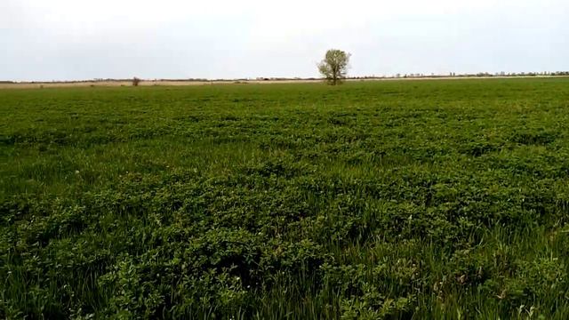 природа, весна, река Подпольная смотреть онлайн