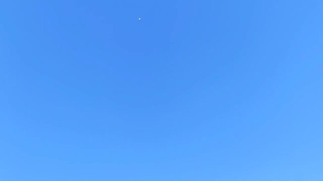 Ижевские,пермские,мордовские голуби. Гоняем 10.02.24. Атаки ястреба...😡 смотреть онлайн