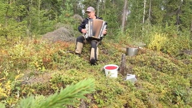 Heikki Niskanen - Villiruusu смотреть онлайн