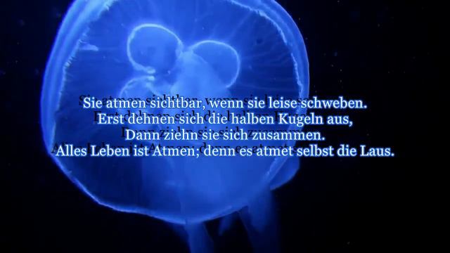 James Krüss: Medusen (Vertonung: Heinrich Herlyn) смотреть онлайн