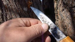 Сбор кленового сока 2017 .