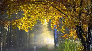 Дождик осенний, поплачь обо мне.mp4