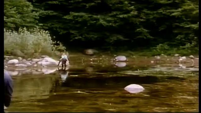 Danger Bay Season 6 Episode 8 [ 109 ]: Small Fry 💚🎬 смотреть онлайн