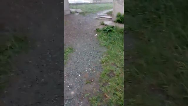 МИФЫ И ЛЕГЕНДЫ ХОЛМСКА! 1# Чупакабра смотреть онлайн