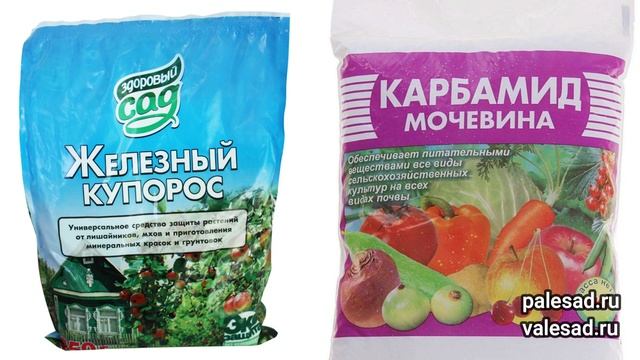 ОБРАБОТАЙТЕ ЭТИМ САД ОТ ВСЕХ БОЛЕЗНЕЙ И ВРЕДИТЕЛЕЙ! Искореняющая обработка сада осенью смотреть онлайн