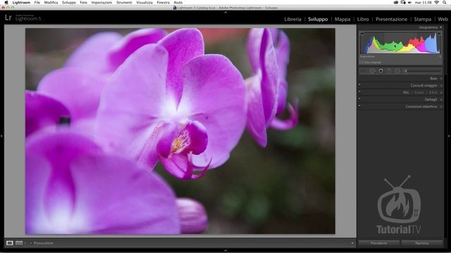 Lightroom 5 - Utilizzo veloce dell'istogramma смотреть онлайн