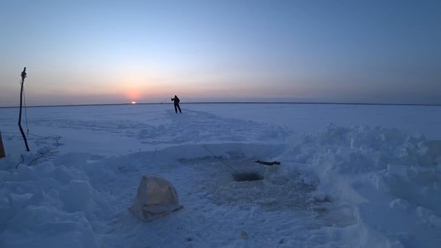 НУ ВСЁ НАЛИМ, БЕРЕГИСЬ! Ставимся в мороз! смотреть онлайн