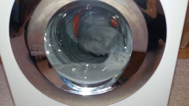 Miele Toy Washing Machine Modified Rinse