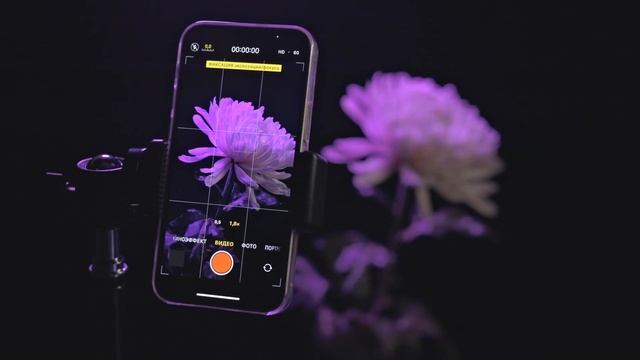 Осветитель светодиодный Raylab RL-LED07RGB 2500-9000K 3000mAh смотреть онлайн