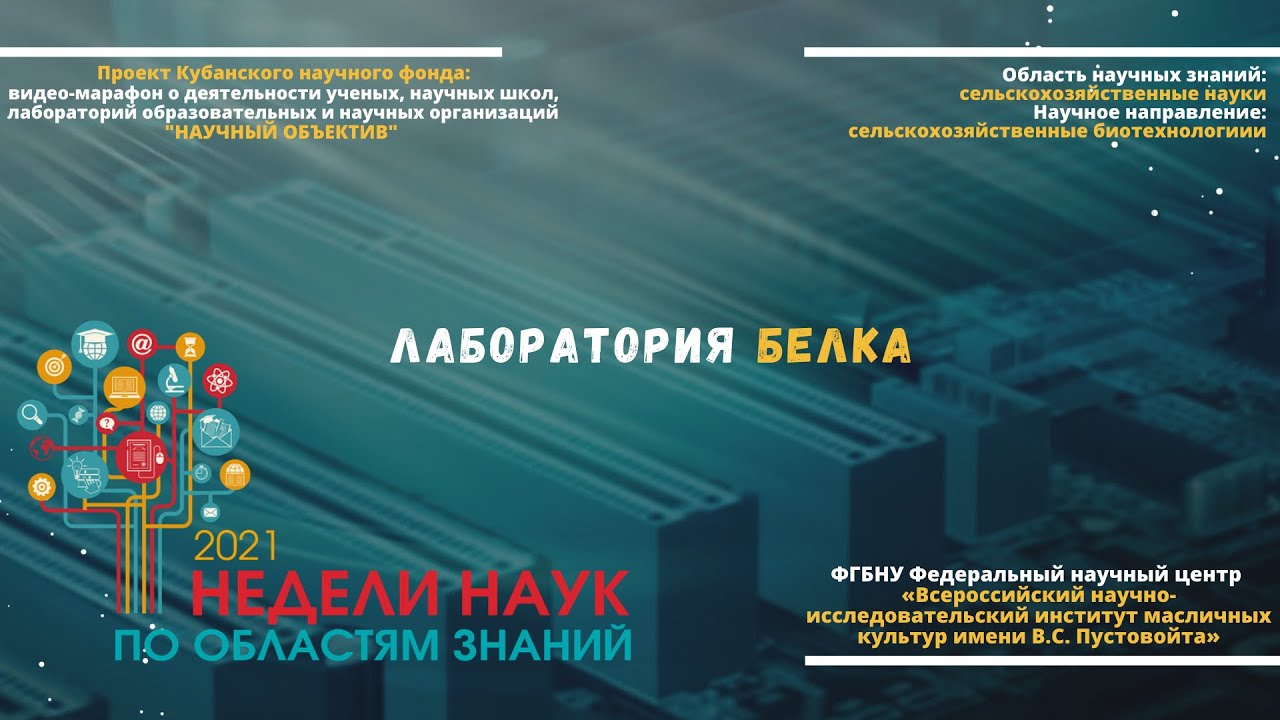 Лаборатория белка смотреть онлайн
