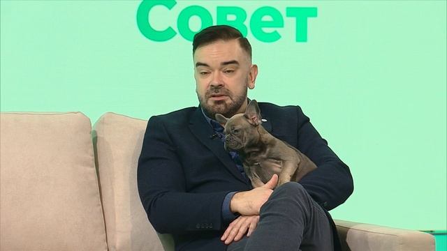 БОЛЕЗНИ ОТ ДОМАШНИХ ПИТОМЦЕВ смотреть онлайн