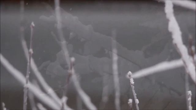 Необычный январь... смотреть онлайн