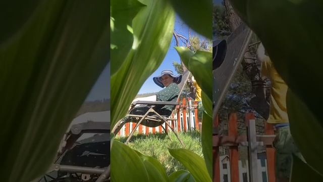 У меня на страничке вы найдёте видео о земледелии с юмором ? Присоединяйтесь ? #дача #юмор #огород смотреть онлайн