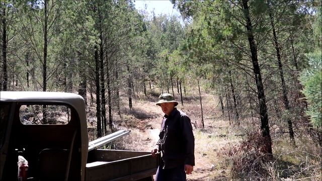 Steyr Haflinger in action смотреть онлайн