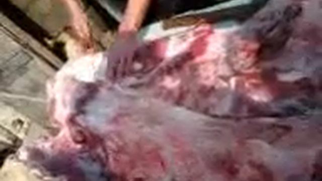 людям со слабыми нервами не рекомендуется.3gp